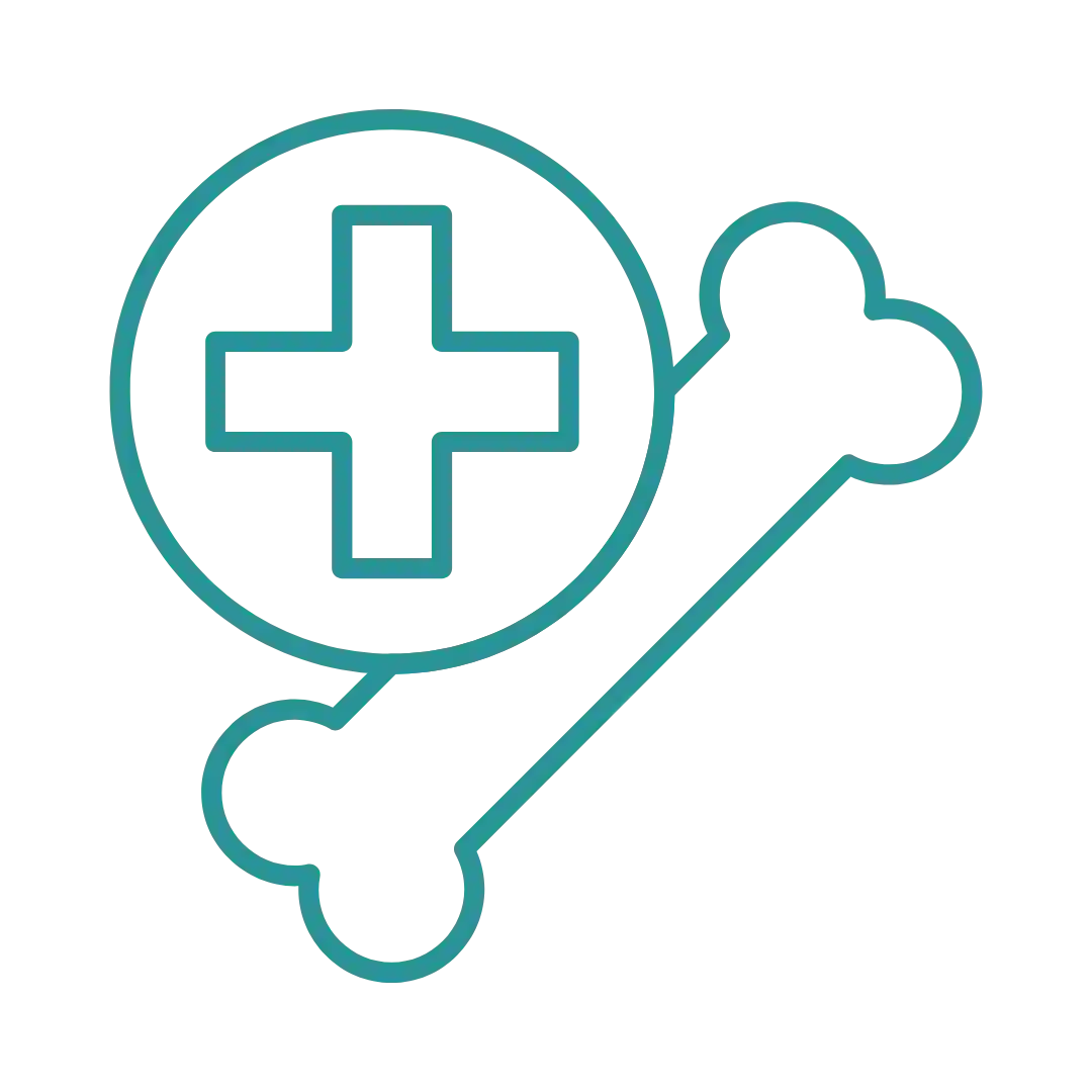 Orthopaedics services in raipur